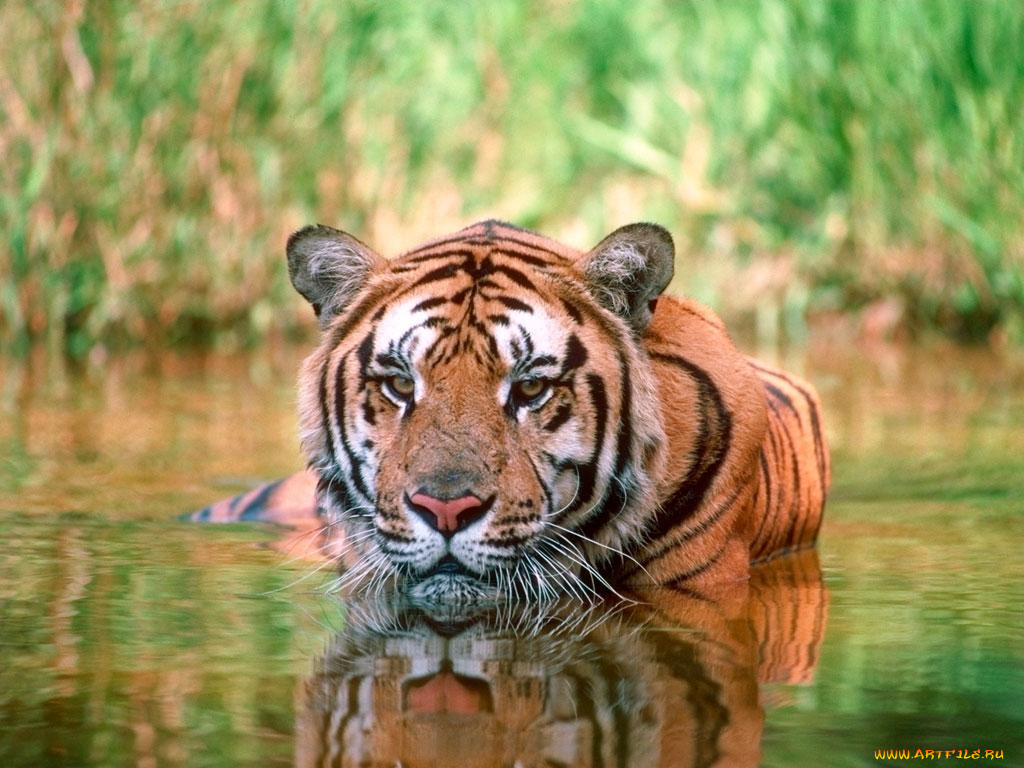 , 